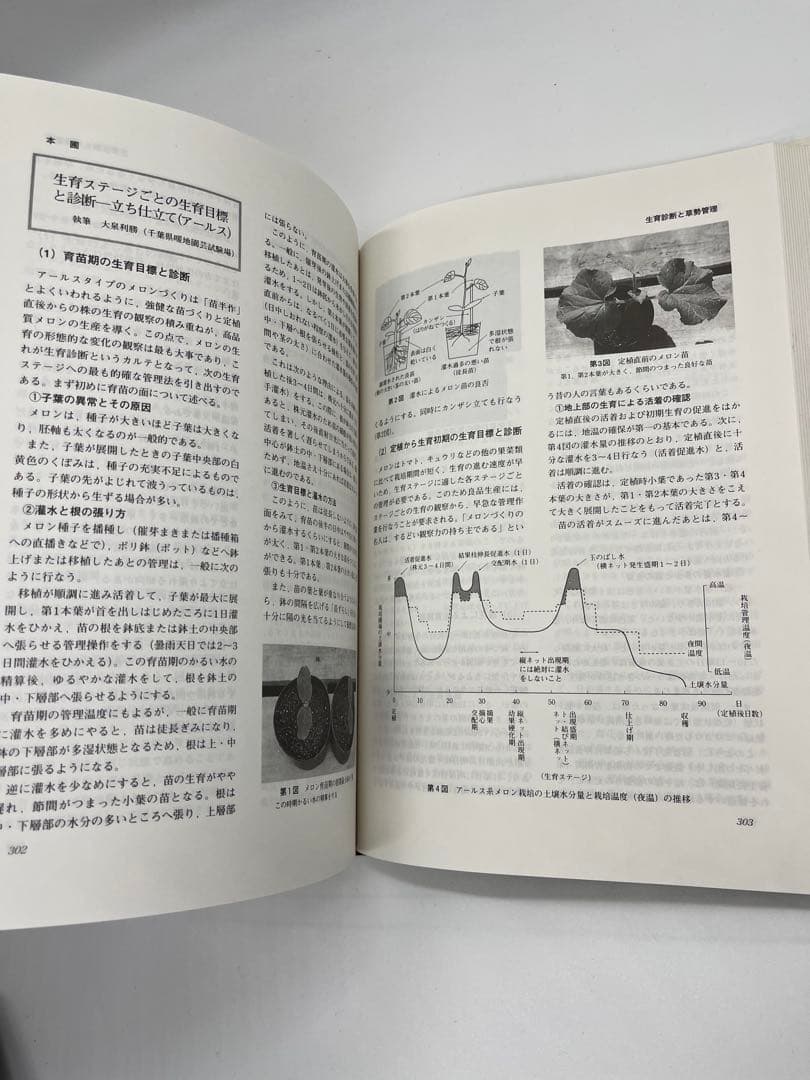 野菜園芸大百科 (4) 第2版　メロン