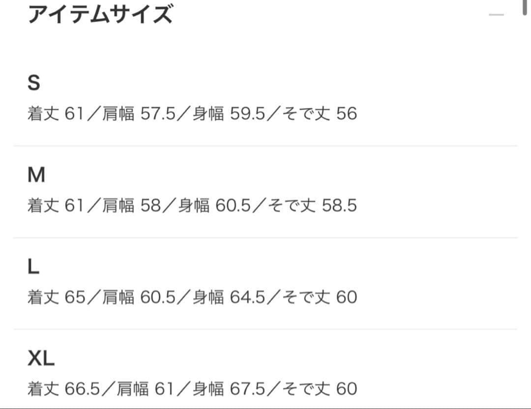 BEAMS ワイドフィット　レザージップブルゾン　Lサイズ