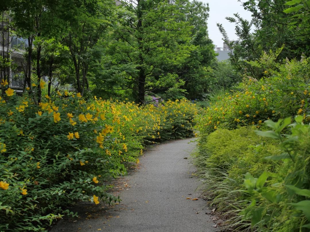 [美品] LUMIX G VARIO 12‑32mm F3.5‑5.6 ASPH