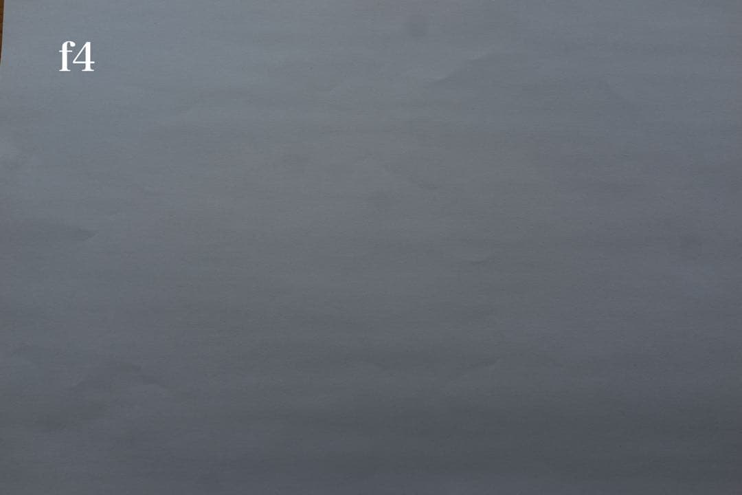 ポップアップ【難有品】sony DSC-RX1R フルサイズ