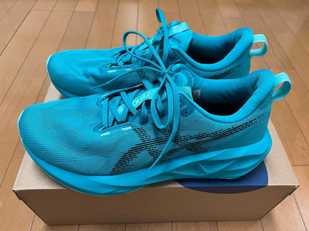 アシックス ノヴァブラスト5 27.5センチ