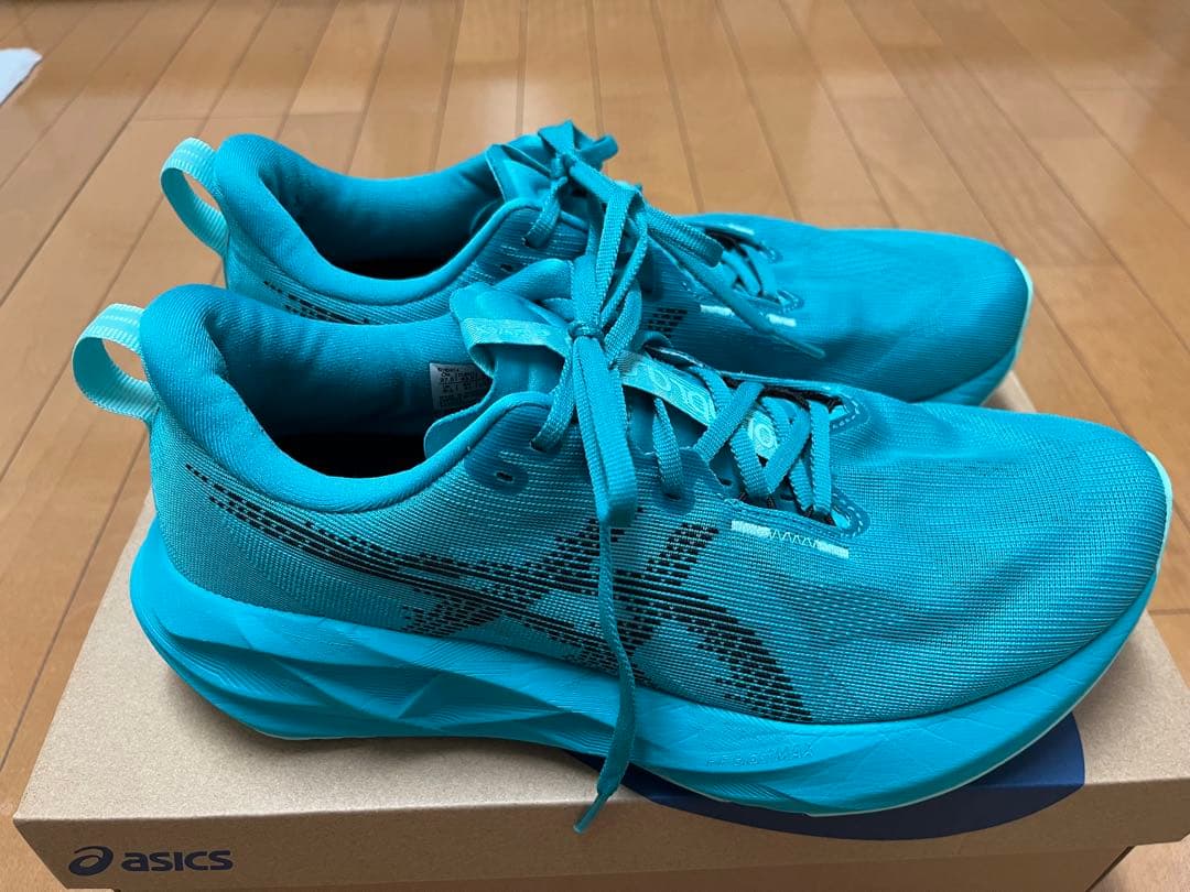 アシックス ノヴァブラスト5 27.5センチ