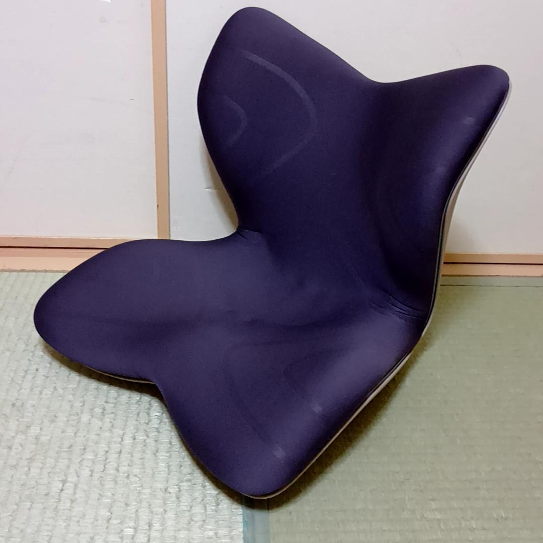 MTG Style PREMIUM スタイルプレミアム　姿勢矯正チェア