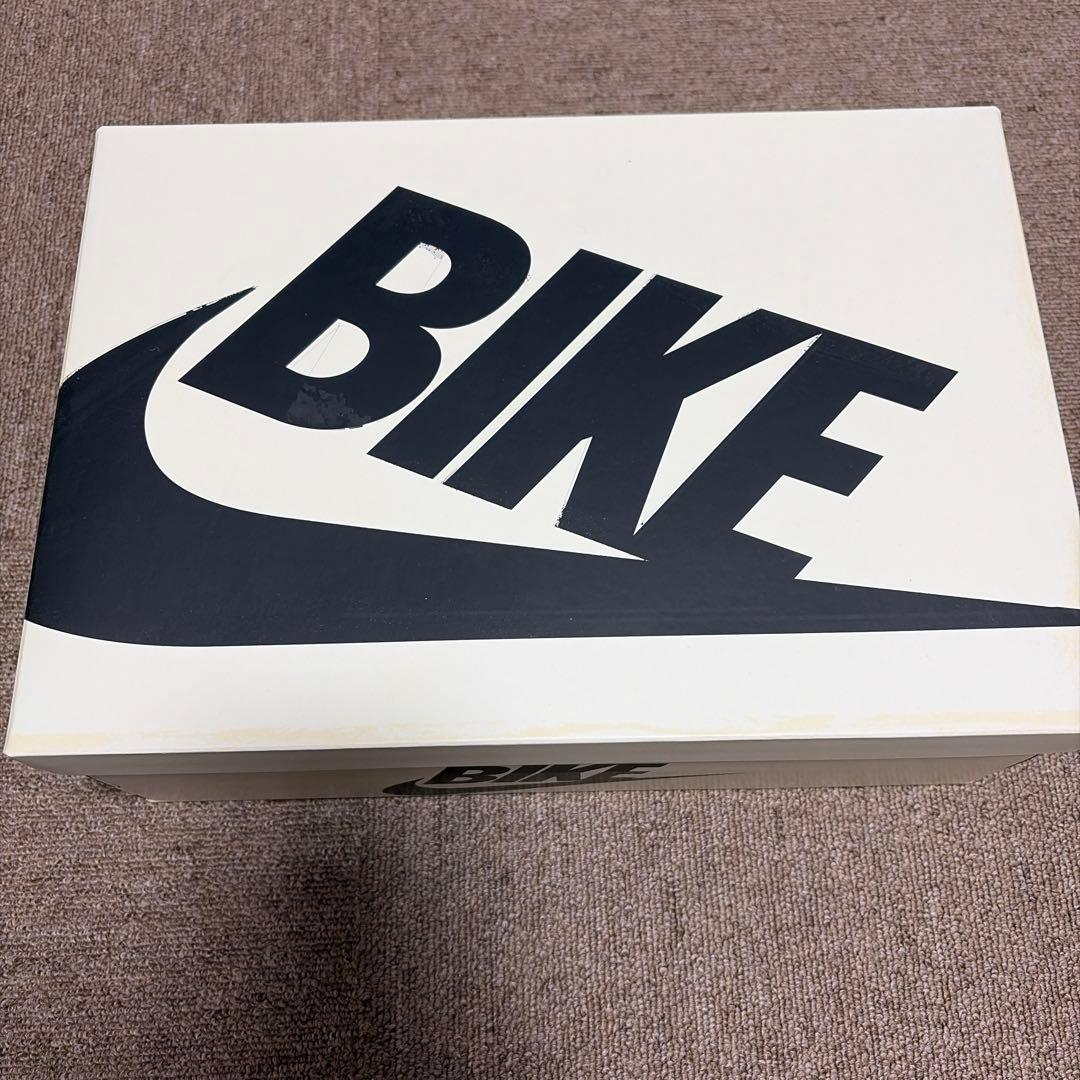 Nigel Sylvester × Nike Air Jordan 1