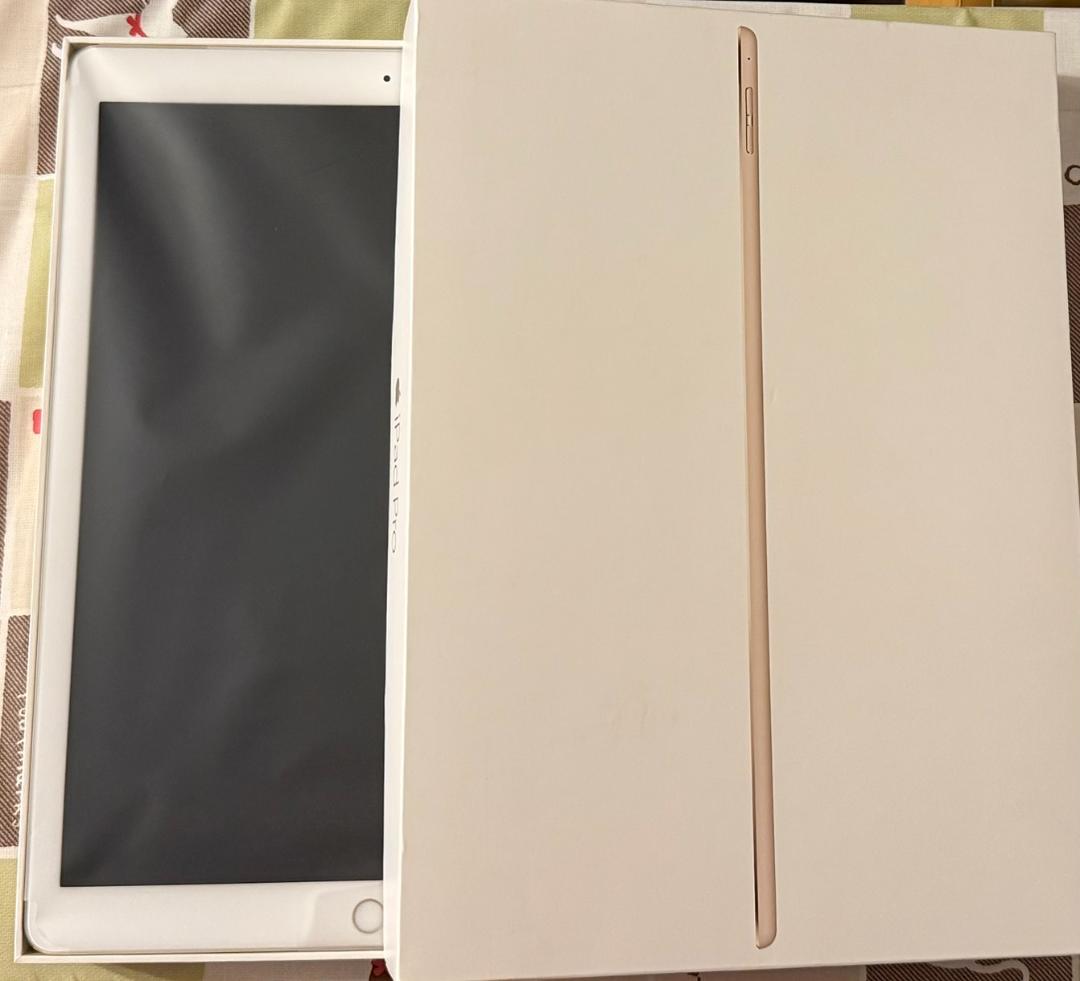 極美品★iPadPro 初代 128GB 12.9 Wi-Fi+Cellular