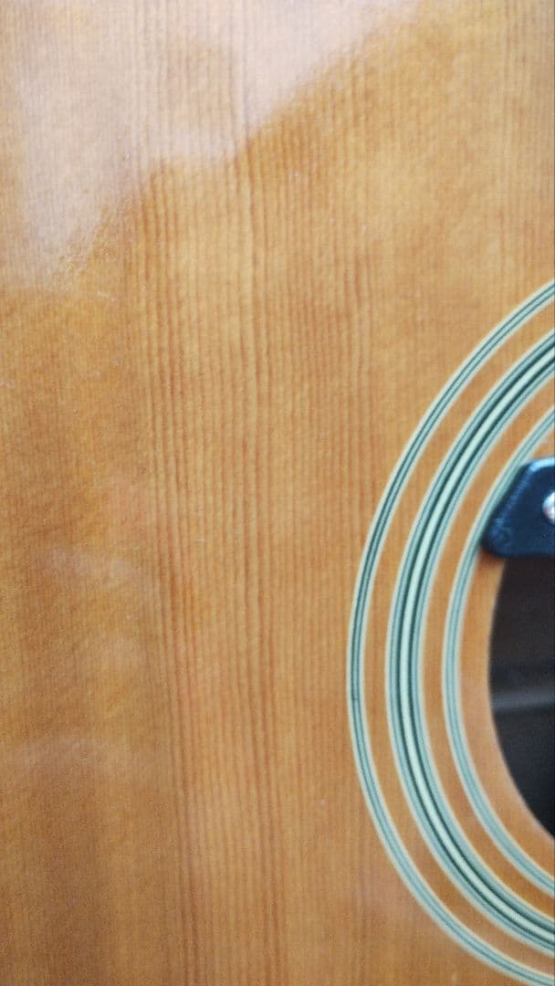 美品 激鳴り！ ジャパンビンテージ DOVE Wピックアップ付エレアコ