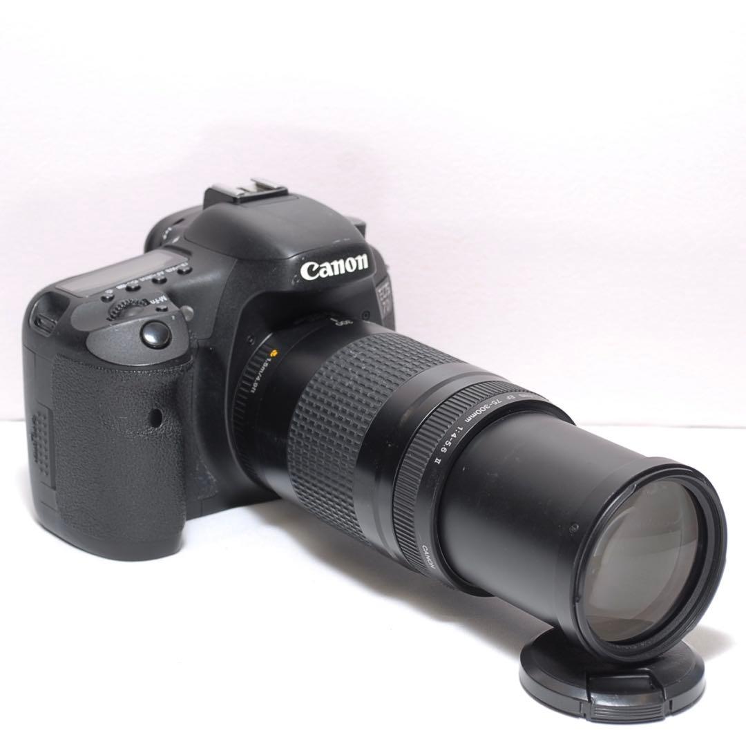 ✨超望遠レンズセット✨キャノン EOS 7D✨ 中級モデル✨高速連写機能✨