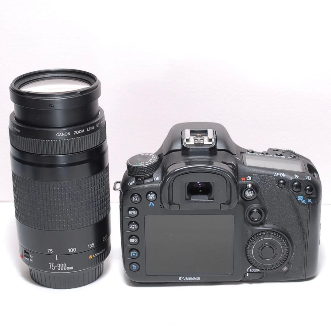 ✨超望遠レンズセット✨キャノン EOS 7D✨ 中級モデル✨高速連写機能✨