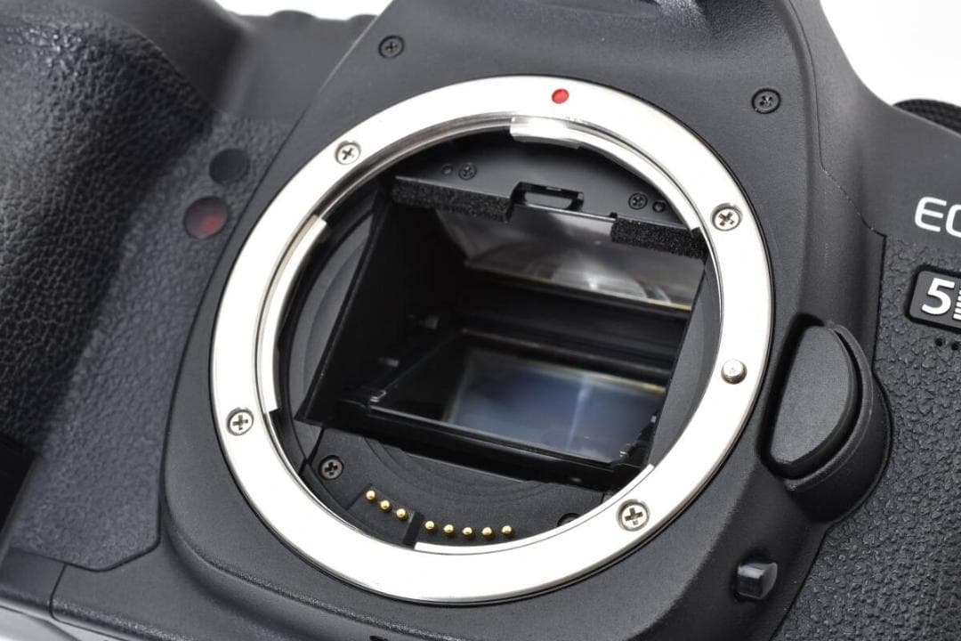 キヤノン Canon EOS 5D MarkII デジタル一眼レフボディ