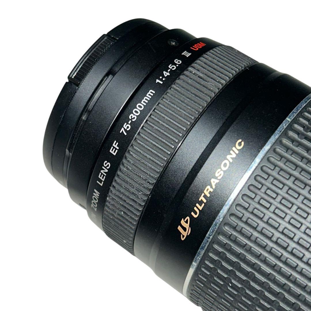 【メ0303-05】Canon EF 75-300mm F4-5.6 USM