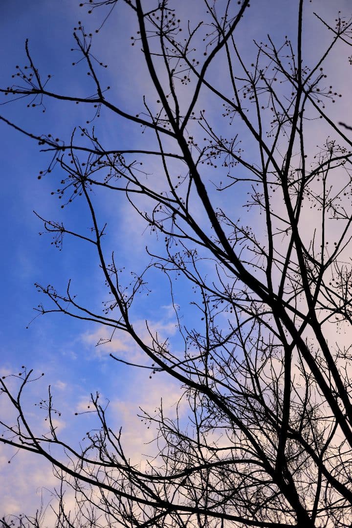 【中古品】EF40mm F2.8 STM