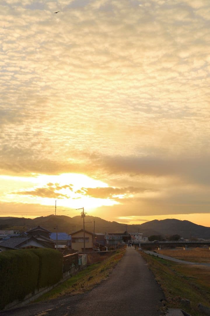 【中古品】EF40mm F2.8 STM