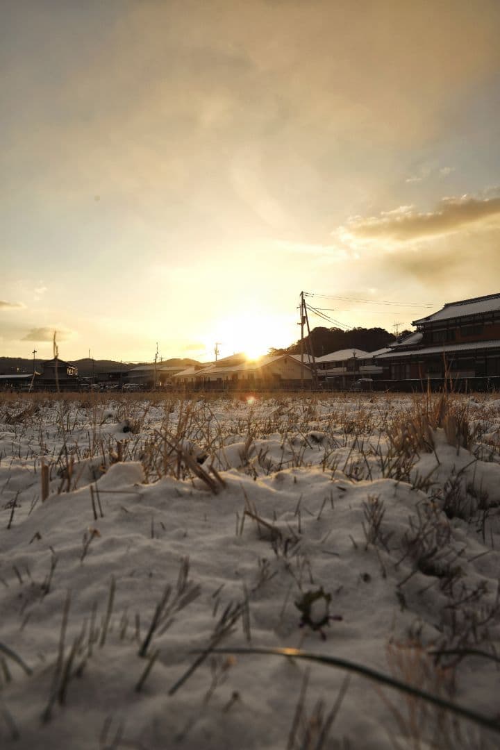 【中古品】EF40mm F2.8 STM