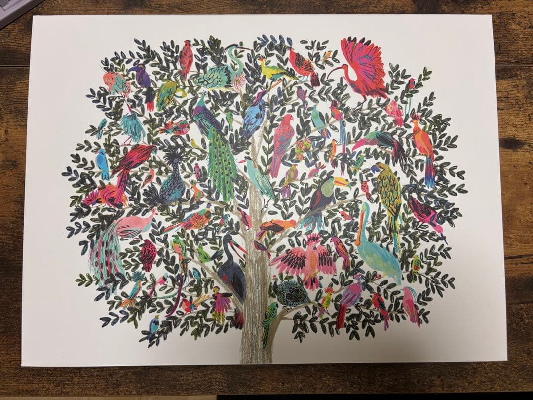 Wacom Intuos Pro Medium(2017)+Smooth+替芯