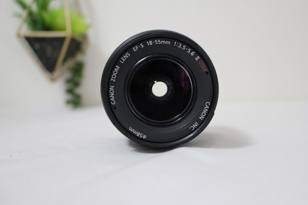 Canon Kiss digital X 標準ズームレンズセット 初心者セット