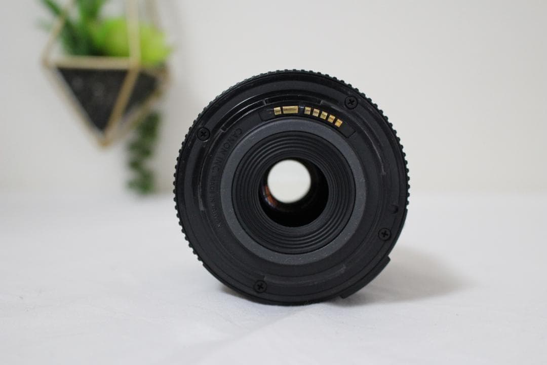 Canon Kiss digital X 標準ズームレンズセット 初心者セット