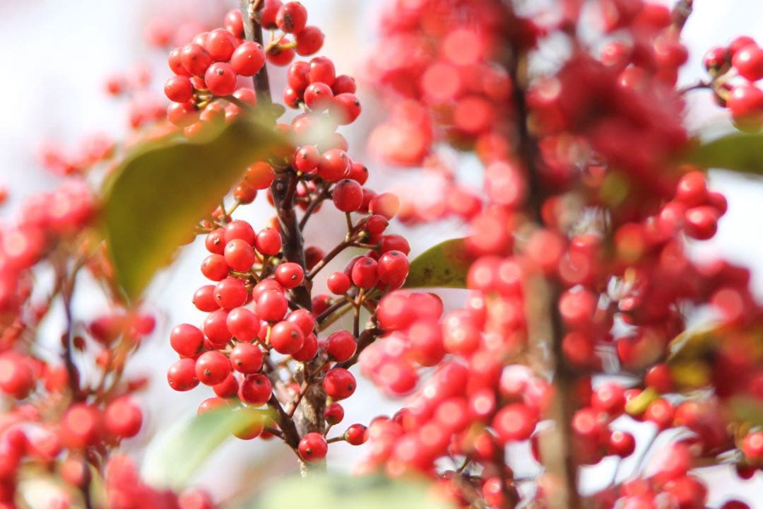 キヤノン　CANON EF 28-200mm f/3.5-5.6 USM ズーム