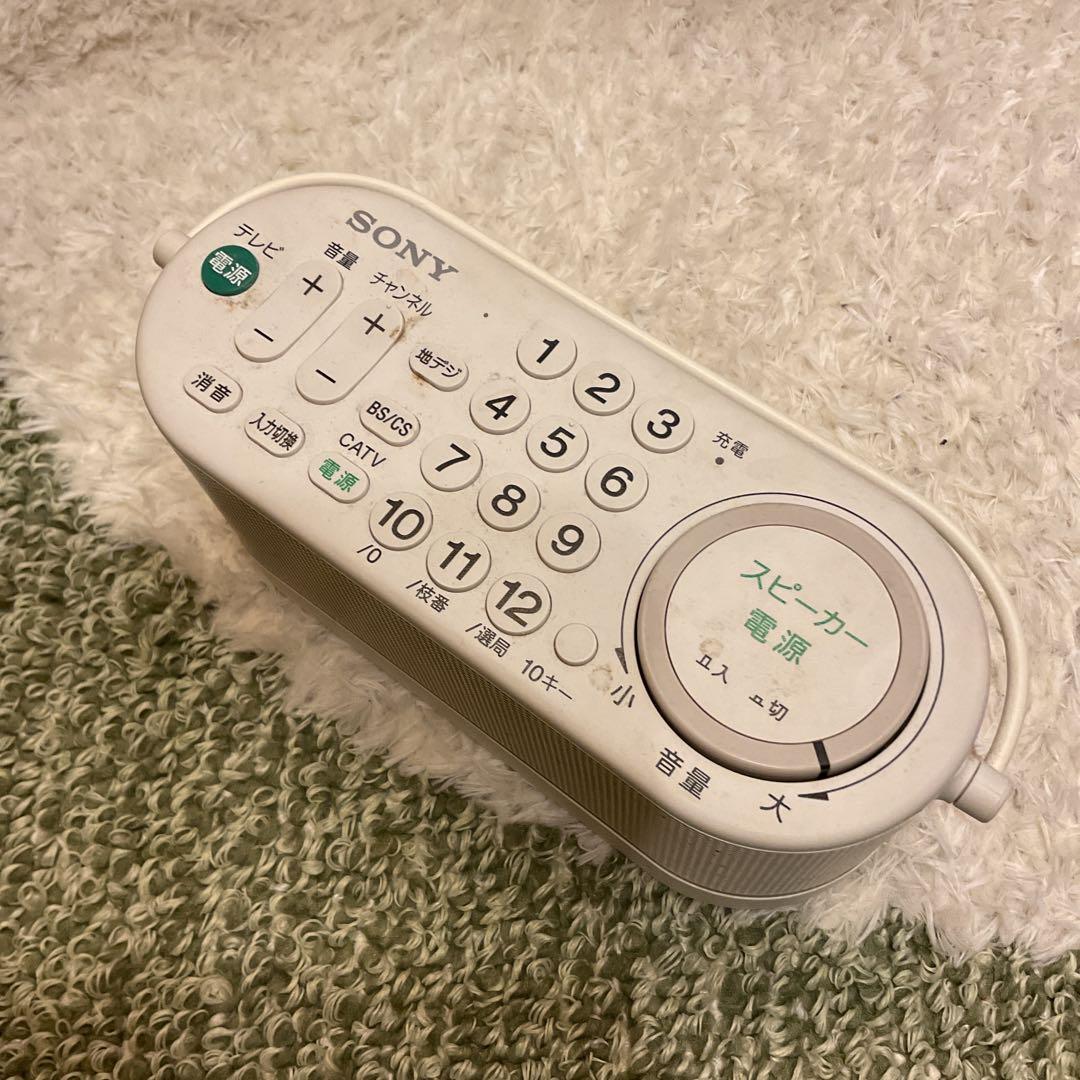 SONY パーソナルオーディオシステム　SRS-LSR100