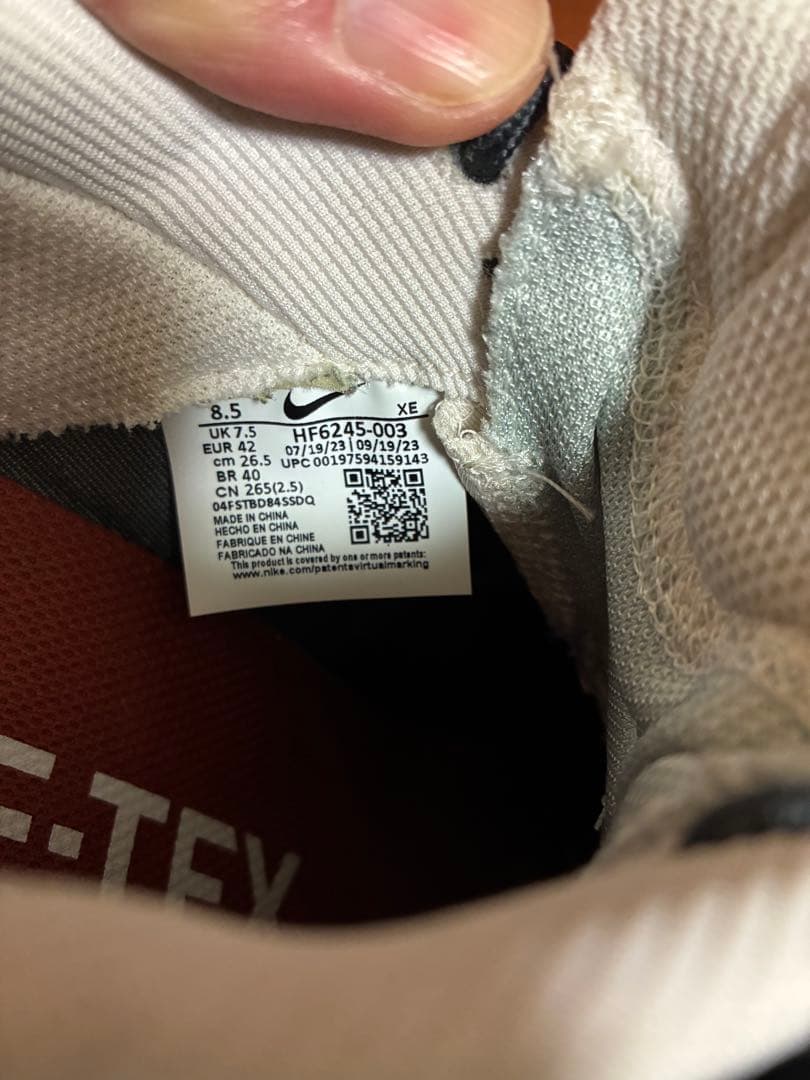 美品 NIKE ナイキ ACG マウンテン フライ 2 LOW GORE-TEX