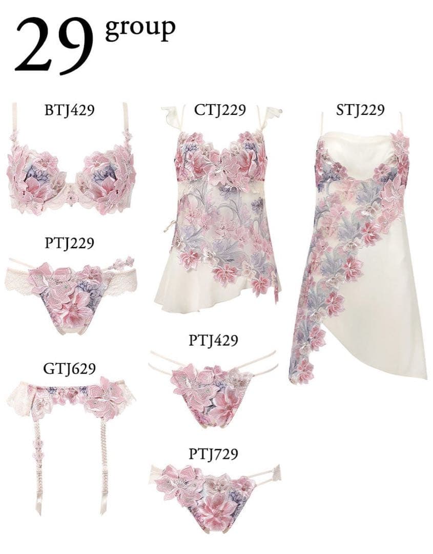 サルート　限定品　グループ29 d70