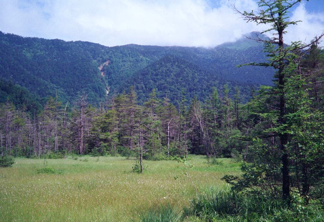 OLYMPUS 35 RC 製備品、テスト撮影済み　185617