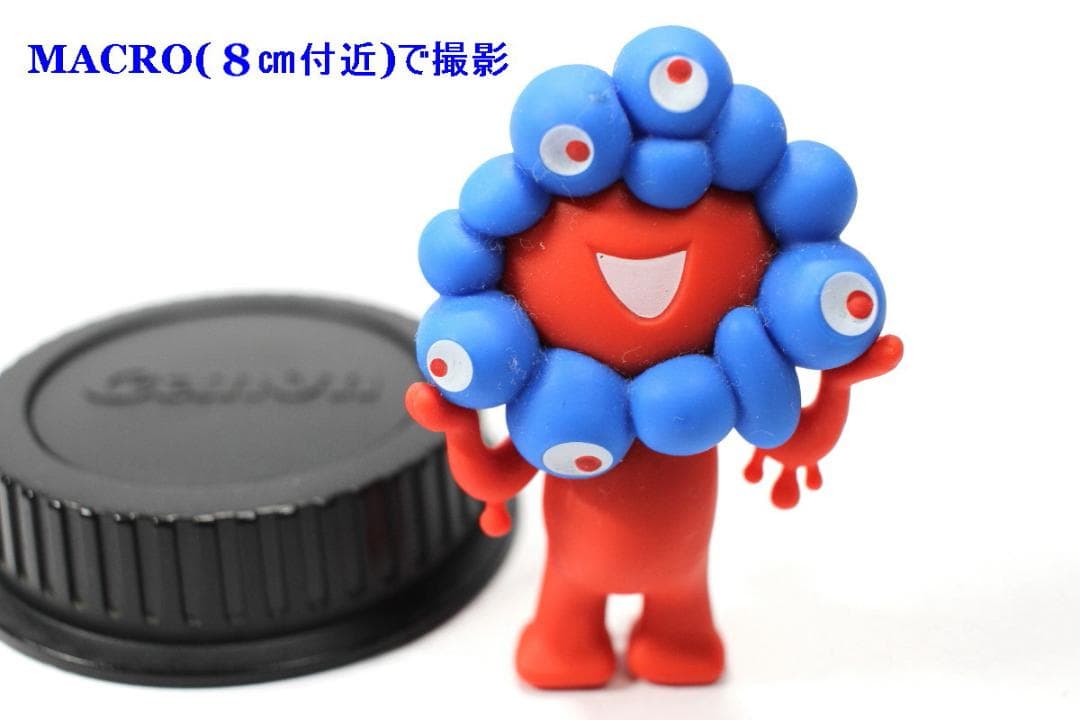 Canon EF-S 24mmF2.8 STM MACRO 単焦点APS-C専用