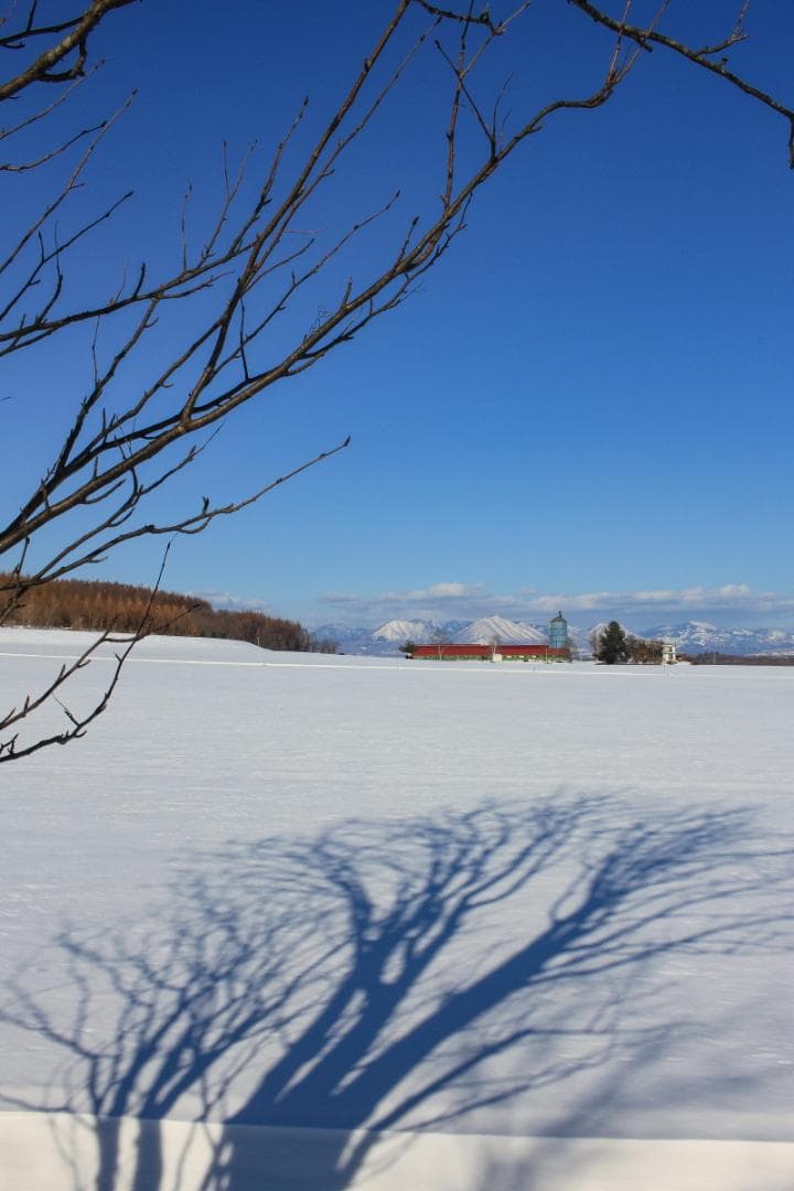 Canon EF-S 24mmF2.8 STM MACRO 単焦点APS-C専用