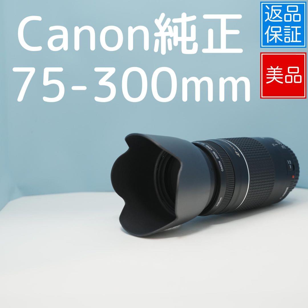 Canon純正 75-300mm 望遠レンズ 美品 a4439