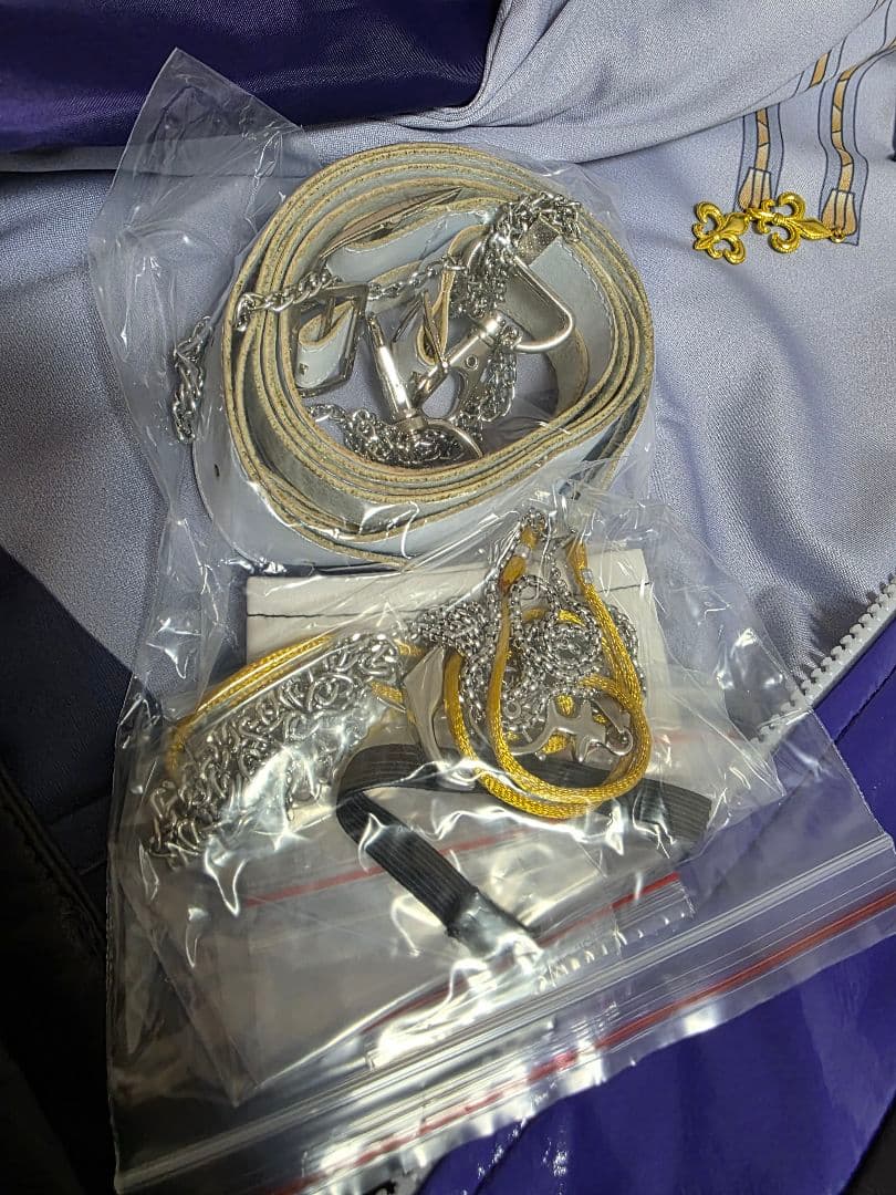 にじさんじ 不破湊 コスプレ 通常 衣装