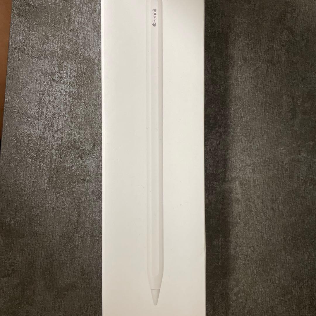 ipadair第五世代256gbWifiモデルApple Pencil