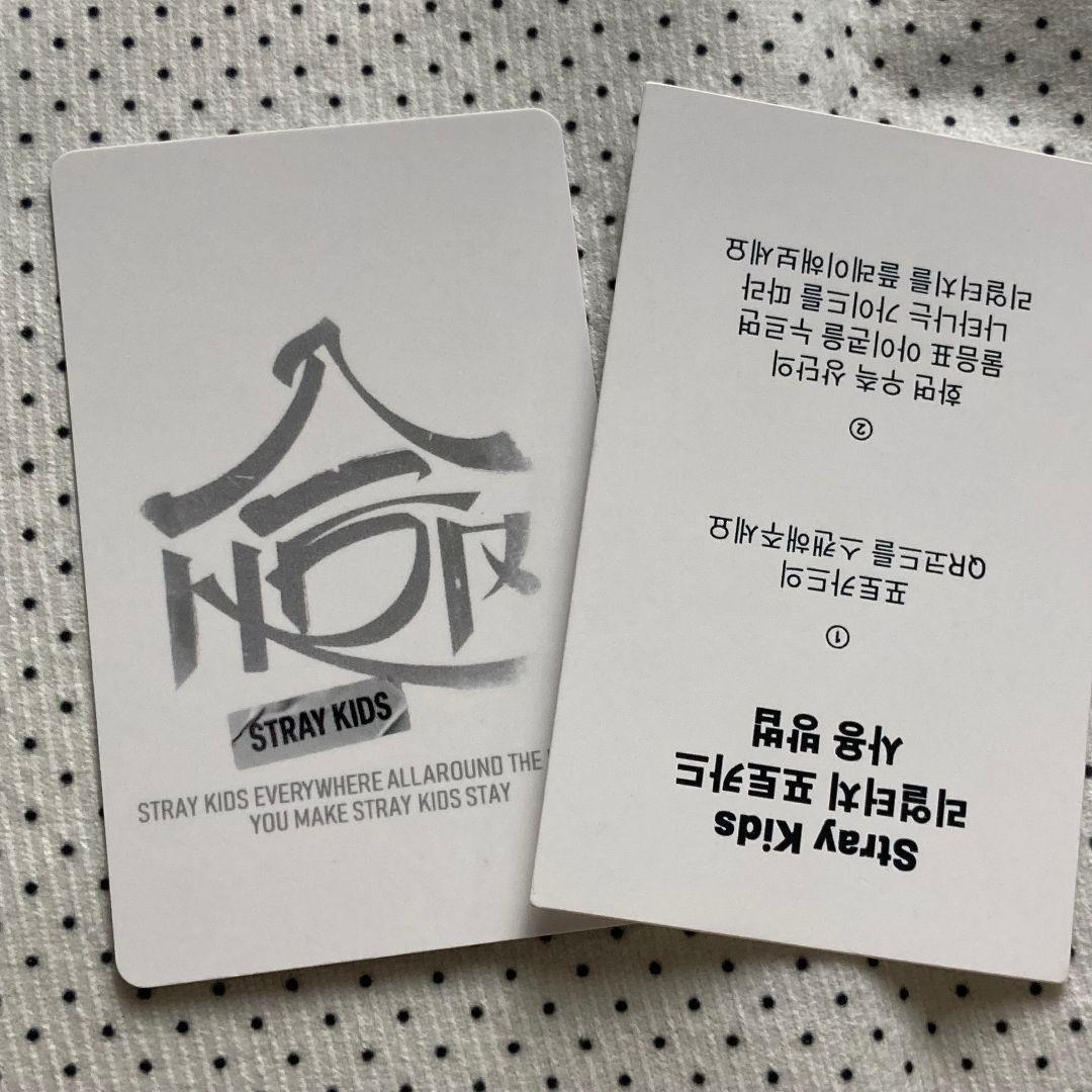 Stray Kids スンミン HOP QR 特典 リアルタッチ トレカ