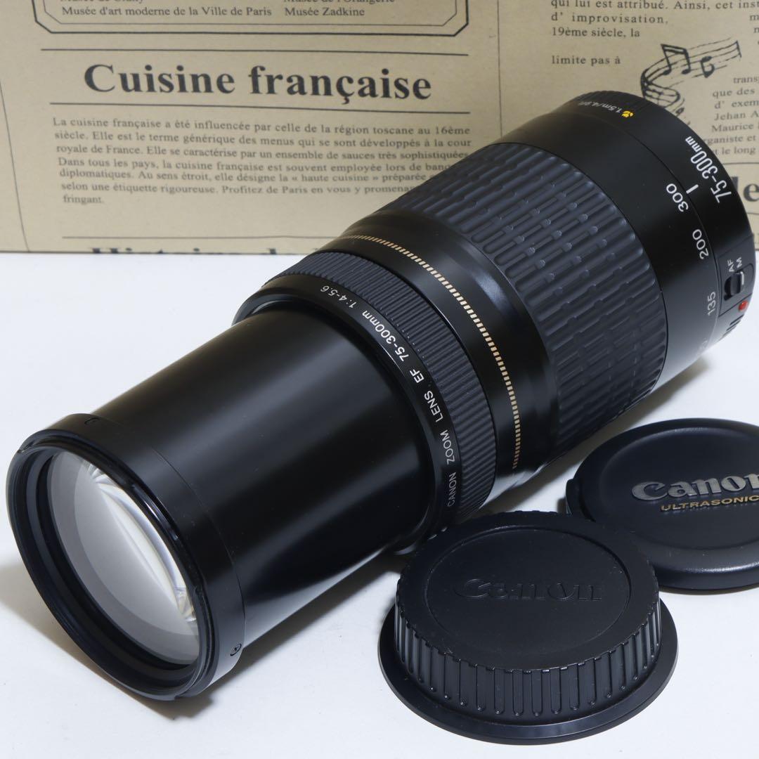 ◇超望遠&高速AF◇Canon純正 75-300mm I 超望遠レンズ!!◇