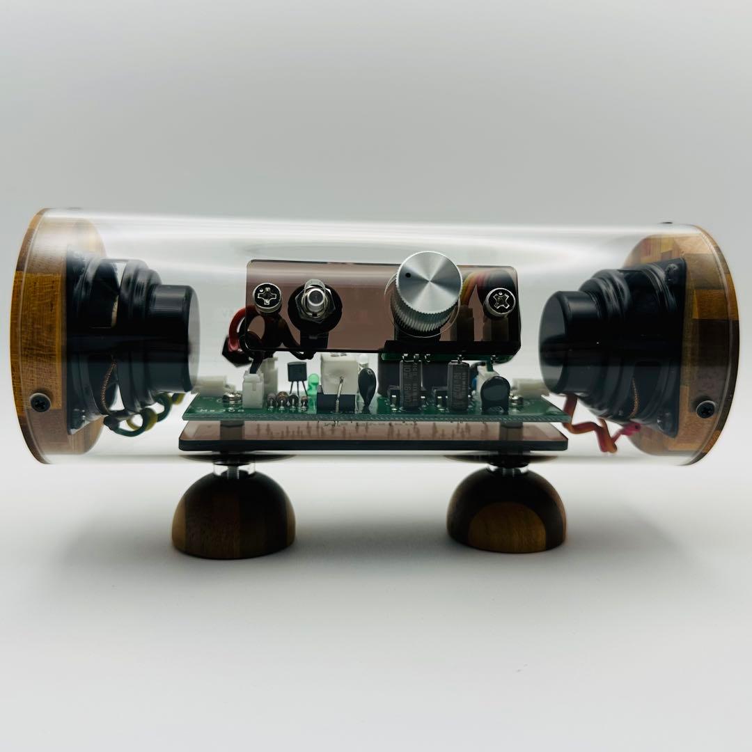 未使用 エムズシステム M’s System 波動スピーカー スケルトン