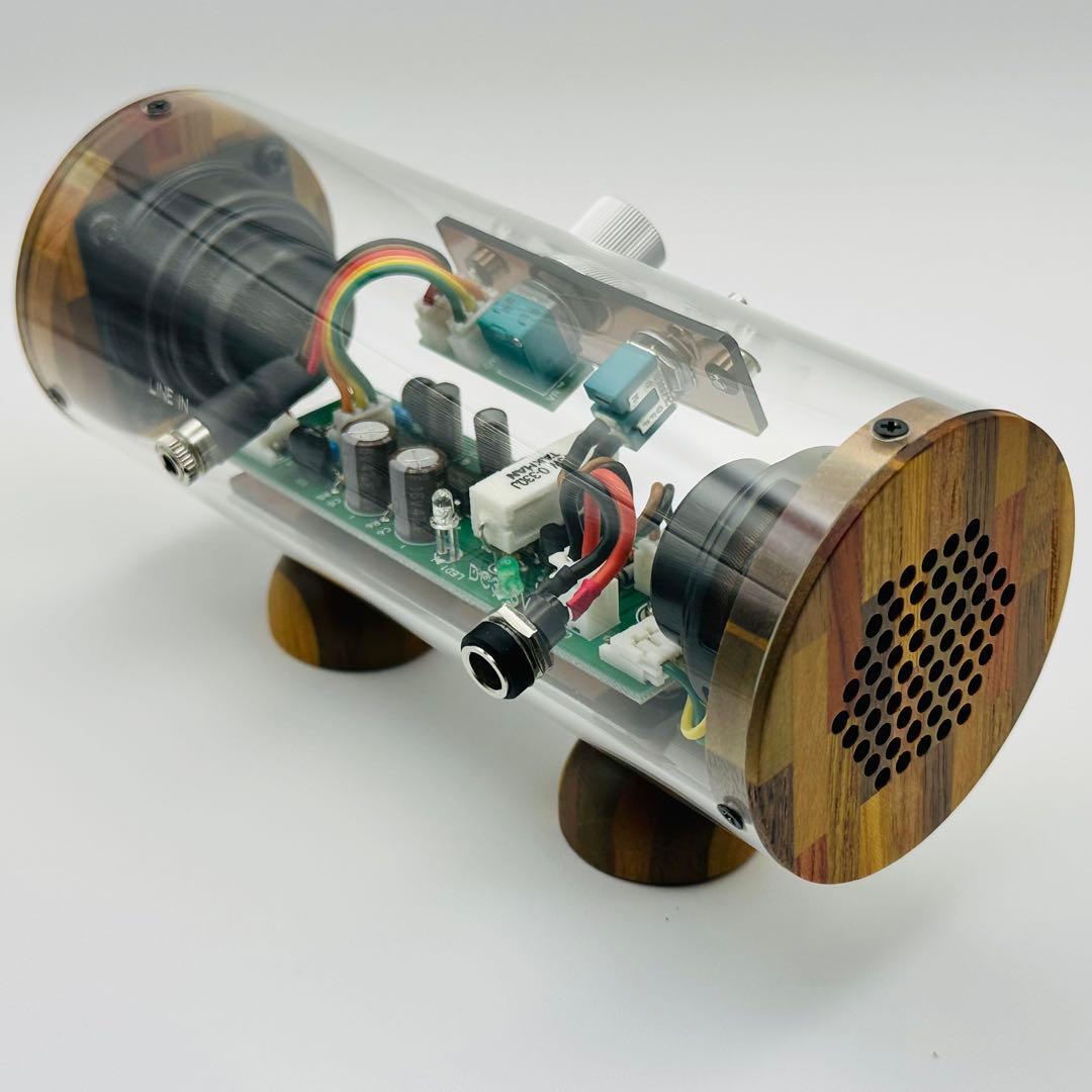 未使用 エムズシステム M’s System 波動スピーカー スケルトン