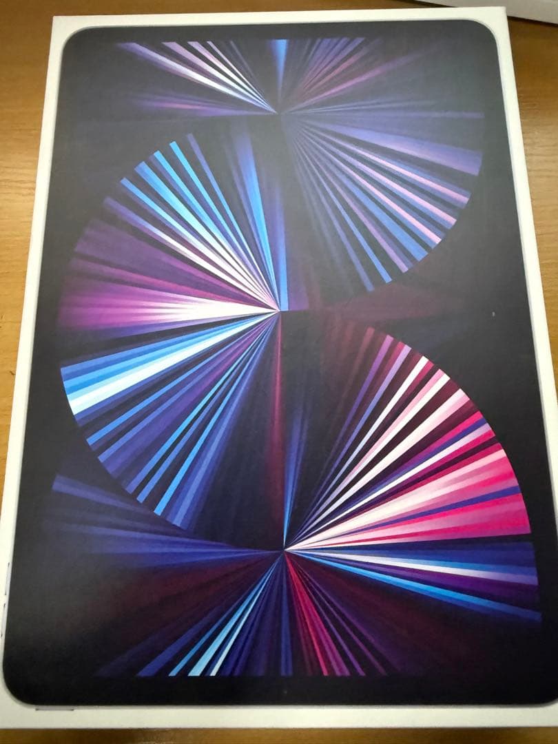 Ipad pro 11 （第3世代) 256gb