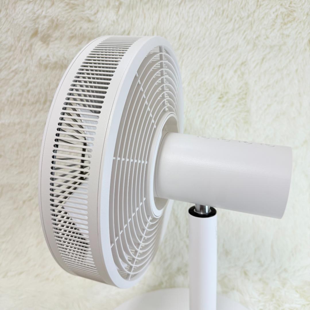 BALMUDA ザ・グリーンファン