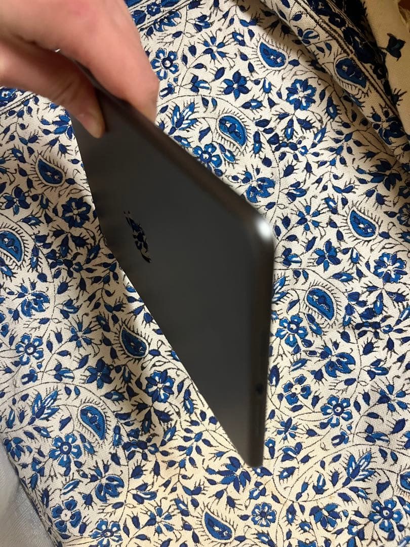 【美品】iPad mini 第5世代 Wi-Fi 256GB スペースグレー