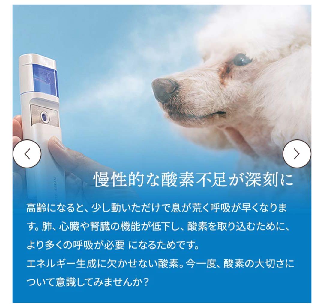 最新型酸素パワーミストO4 高エネルギー 酸素ミスト スキンケア