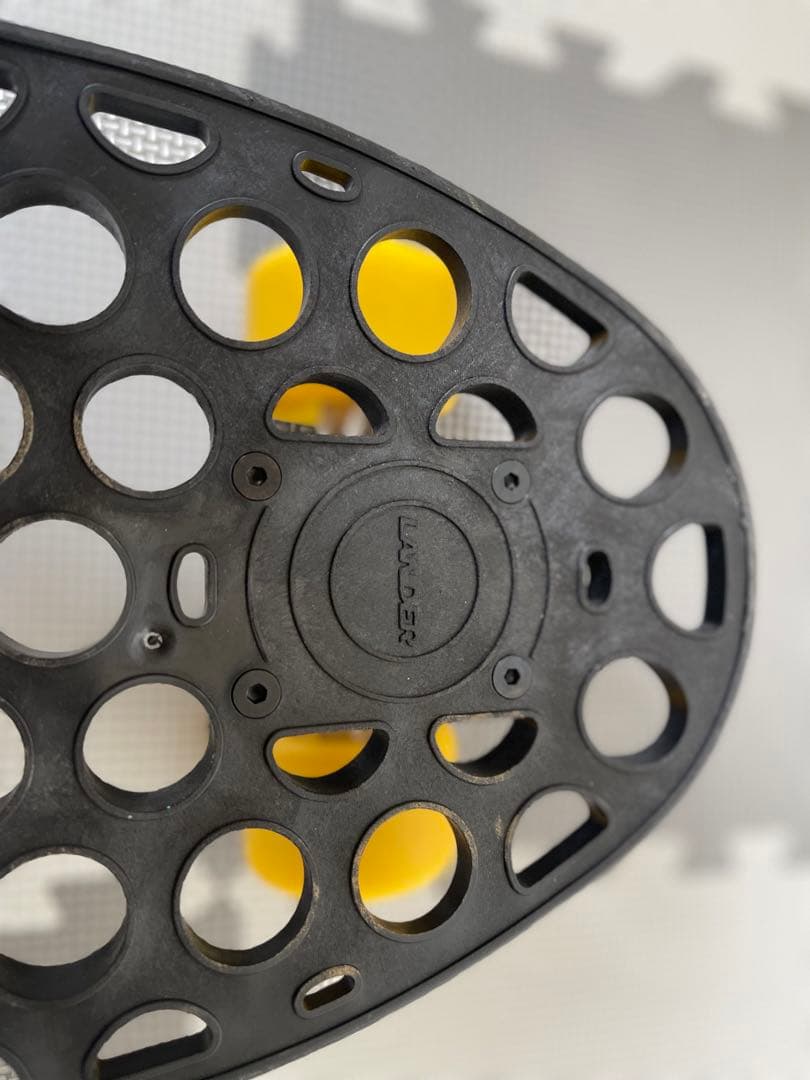 (ランダー)  LANDER 24.5インチ  RIO ミニクルーザー