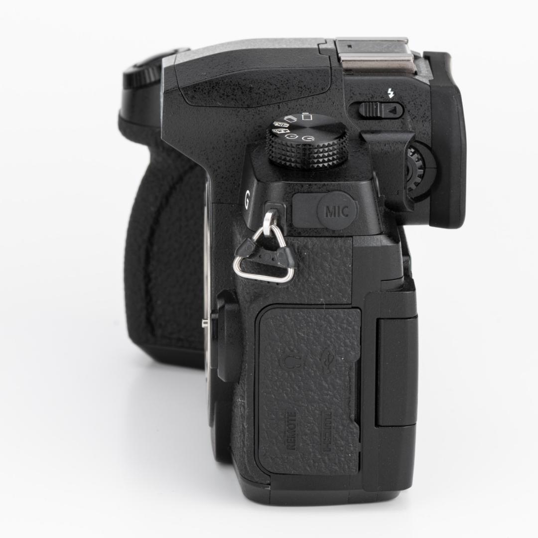 ★美品★PanasonicパナソニックLUMIX DC-G99ボディ 付属品完備