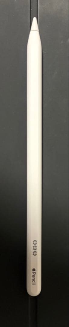 iPad Pro 11インチ 第二世代 Apple Pencil 付き