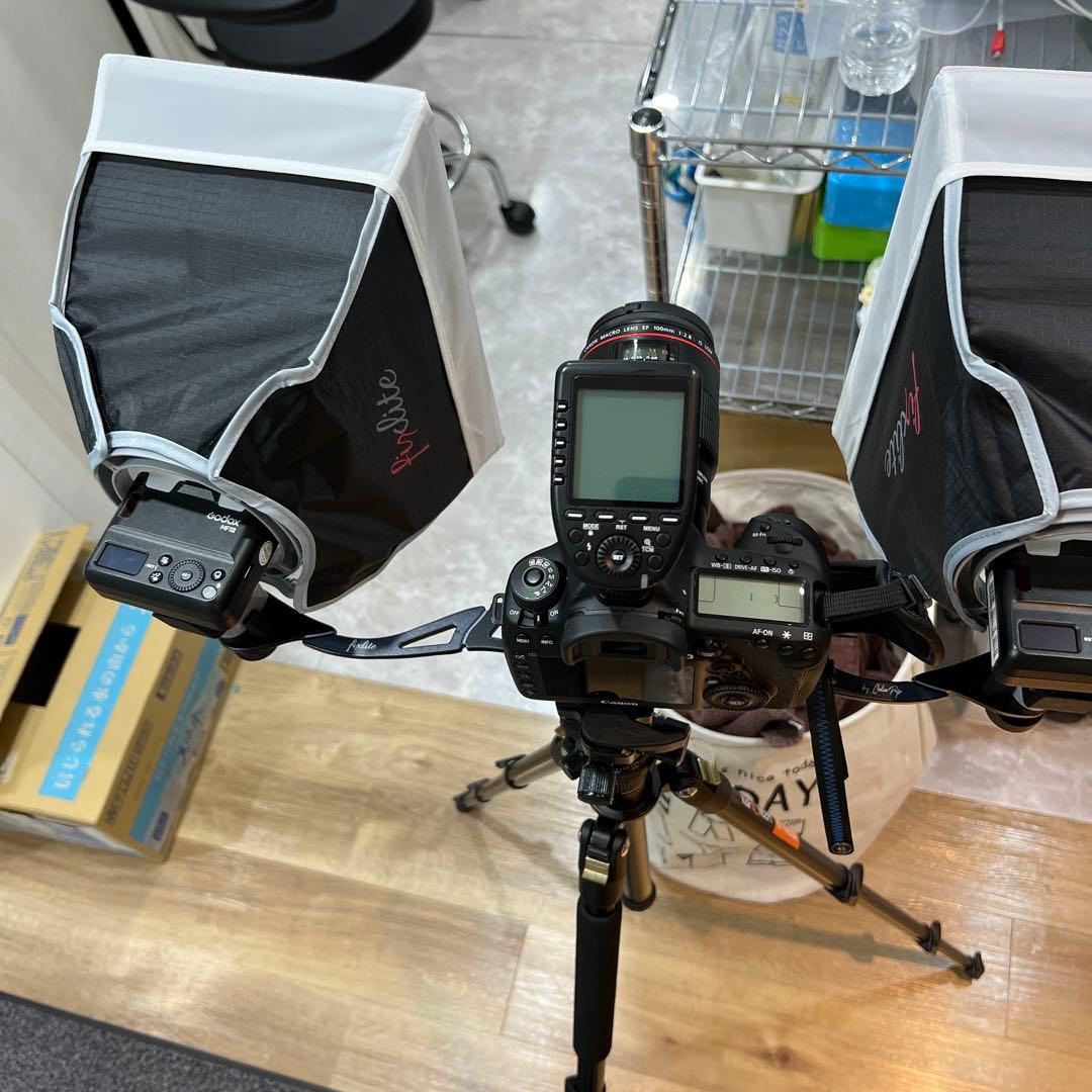 フィックスライト