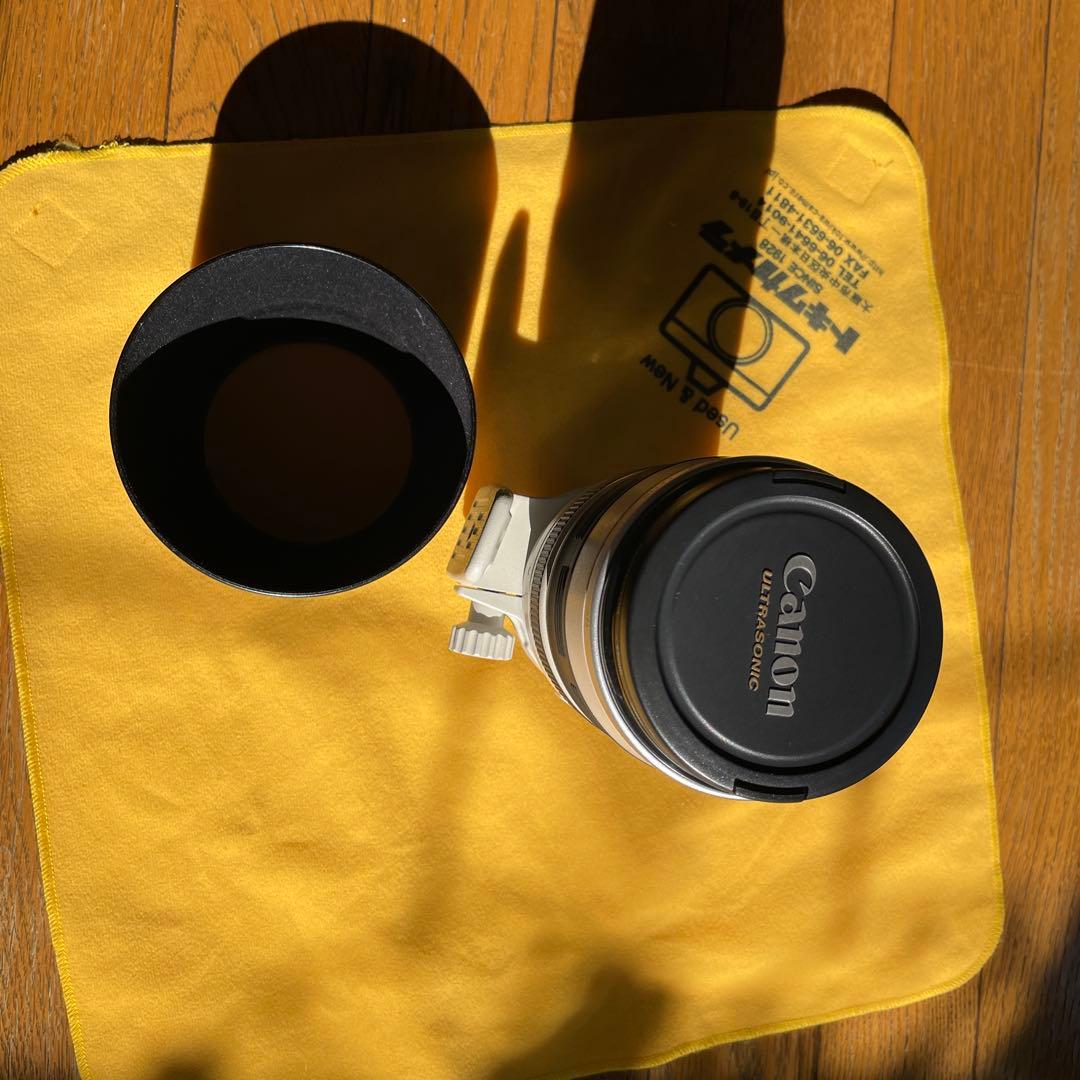 キヤノン　EF100-400 L 4.5-5.6 is ultrasonic