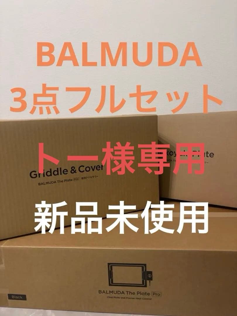 お値下げ⭐︎BALMUDA フルセット　3点　The Plate Pro