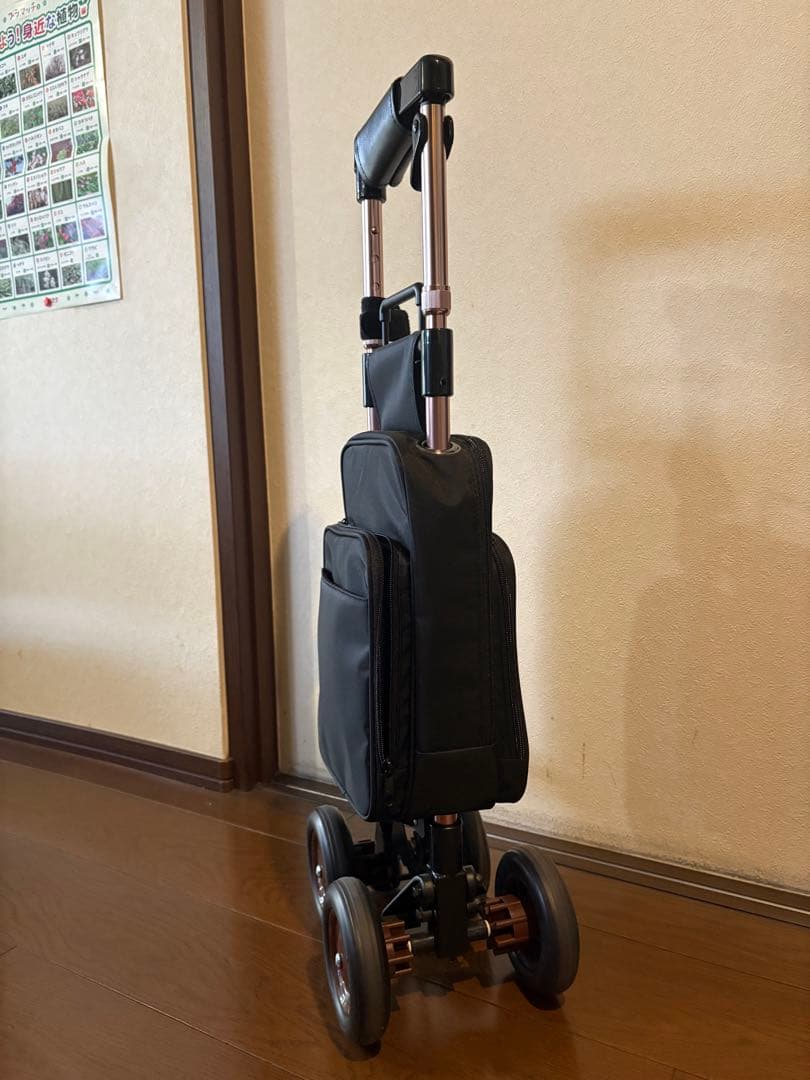 象印ベビー ショッピングカー キャリーステッキ ライト 168 ブラック