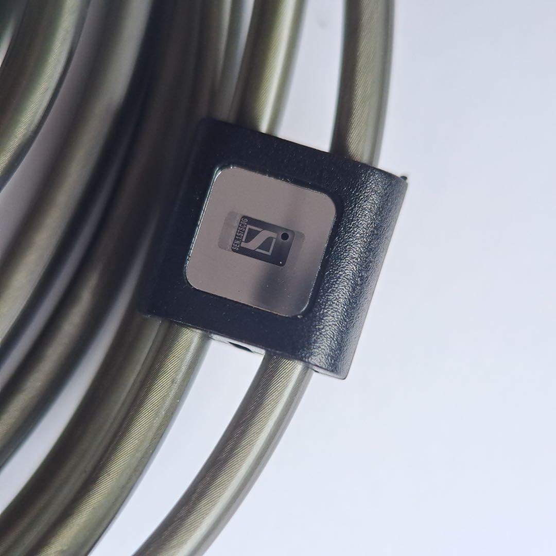 Sennheiser IE 900 有線イヤホン オマケあり