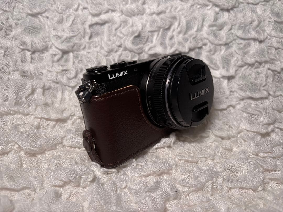 LUMIX DMC-GM1 本体 14mm F2.5 II 美品 レザーケース付