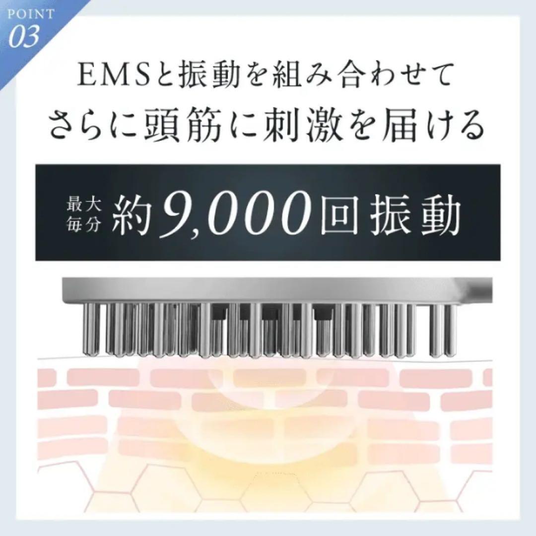 【値下中】NIPLUX EMS CARE BRUSH 美顔器NP-ECB24BK