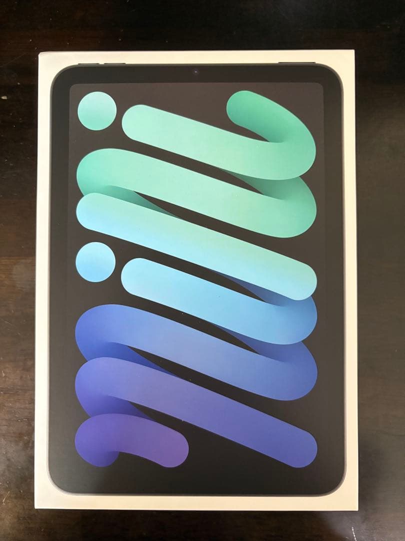 iPad本体 iPad mini A17 Pro Cellular Space Gray