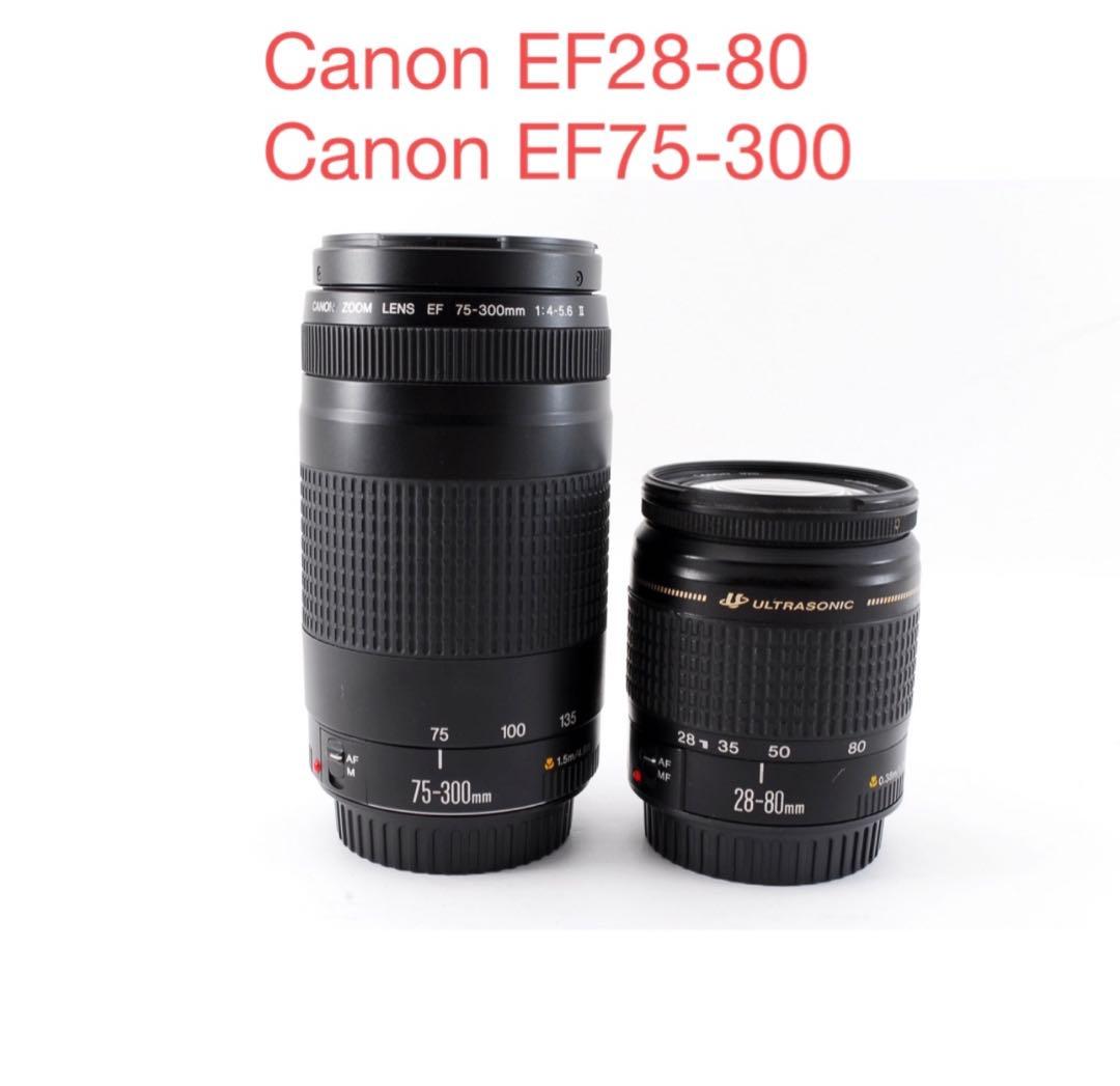 Canon EF28-80☆Canon EF75-300☆標準&望遠レンズセット